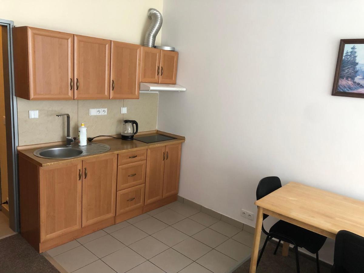 Apartment Certovka Harrachov Zewnętrze zdjęcie